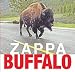 Buffalo