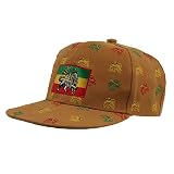 Rasta Baseball Caps-Lion2 Camel W31S61C