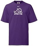 TCU Horned Frogs Nike Logo Short Sleeve Tee