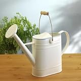 Review   / Cotswold Company - Watering Can