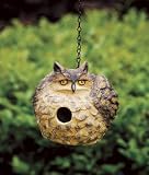 Evergreen - Portly Birdhouse - Owl
