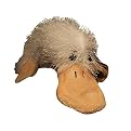 Webkinz Googles with Trading Cards