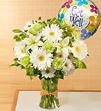 Flowers by 1800Flowers - Serene Green - Get Well - Large