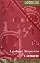 Algebraic Projective Geometry (Oxford Classic Texts in the Physical Sciences)