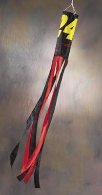 NASCAR Jeff Gordon #24 Wind Sock