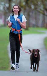 The Buddy System - Hands Free Leash - Regular Dog System - Black Regular
