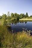 Wallmonkeys Peel and Stick Wall Decals - Kleiner Teich in Moorlandschaft - Removable Graphic