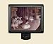 Degas - Ballet Rehearsal - Night Light - Ships Immediatly