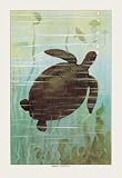 Sea Turtle 20x30 poster - Prints - 07921-5P2030