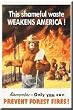 Smokey the Bear Prevent Forest Fires Magnet