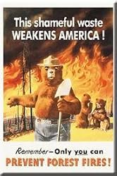 Smokey the Bear Prevent Forest Fires Magnet