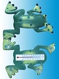 Produkt-Bild: Fenster-Thermometer Frosch