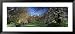 Bare Trees Along a Walkway, Canary Wharf, Tower Hamlets, London, England, United Kingdom Places Framed Art Poster Print by Panoramic Images, 51x23