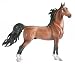Tuigpaard Harmonie - Dutch Harness Horse&nbsp;