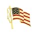 18k Gold Tone Flag Pin