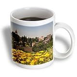 Danita Delimont - Julie Eggers - Gardens - Spain, Granada. The Generalife gardens, Alhambra grounds. - 15oz Mug (mug_188632_2)
