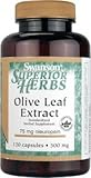Swanson Superior Herbs Olive Leaf Extract 500mg, 120 Capsules