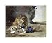 Lion Rending Apart a Corpse by Eugene Delacroix. Size 15.97 inches width by 12.41 inches height. High Quality Art Poster Print