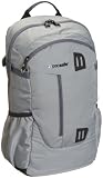 Pacsafe Luggage Venturesafe 25L Daypack