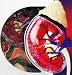 Visible 4D Human Kidney & Renal Corpuscle Anatomy Kit 4DVision