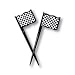 Picks Pl, Blk/Wh Check - 144 Count