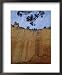 Echo Amphitheater, Rio Arriba County, New Mexico, USA Collections Framed Art Poster Print by Michael Snell, 18x22