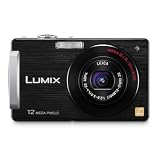 Panasonic Lumix DMC-FX580 12MP Digital Camera with 5x MEGA Optical Image Stabilized Zoom and 3 inch LCD (Black)
