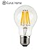 Eurus Home Vintage LED Filament Bulb A19 - 8W LED Light Bulb, Medium Screw E26 Base, Clear Soft White 2700K, LED Edison Bulb 75W Equivalent, 120VAC, Dimmable