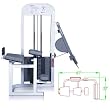 Maximus Fitness MX365 Glute Master Exercise Machine