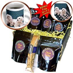 Dogs Maltese - Maltese - Coffee Gift Baskets - Coffee Gift Basket by 3dRose LLC