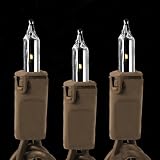 Set of 50 Clear Mini Christmas Lights - Brown Wire