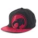 Search : ThunderCats Logo Flex Fit Baseball Cap