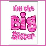I'm The Big Sister Iron-On Heat Transfer