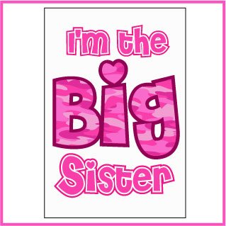 I'm The Big Sister Iron-On Heat Transfer