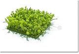 AGOCHA - Superbe Tapis Shaggy Damru Fait Main Epais Echantillon 15x15 Cm Couleur Vert Citron