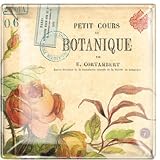Botanique Small Square Glass Transferware Tray
