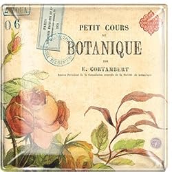 Botanique Small Square Glass Transferware Tray