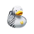 Present Time Bud Zebra Duck Mini