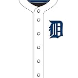 Detroit Tigers MLB Book Cover