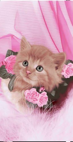 Kitty Rose Cat Towel Cute Cat Wonder Beach Towel 2296