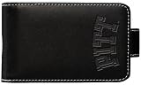 Pittsburgh Panthers iPod Case for iPod Nano