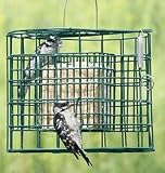 Duncraft Suet Sanctuary