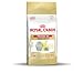 Royal Canin Cat Persian Kittten 30 10kg