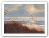 Sailboat Breezeway by Diane Romanello 7