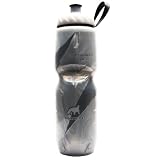 Polar Insulated Water Bottle (24-Ounce, Graphic Silver)