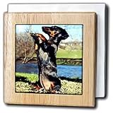 Dogs Dachshund - Dapple Dachshund - Tile Napkin Holders