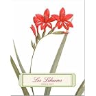 Les Liliacees Address Book by Chronicle Books
