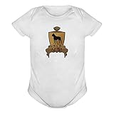 Boston Terrier THE TRUE BREED ベビーボディ