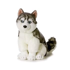 Plush Sitting Husky 16 by Aurora