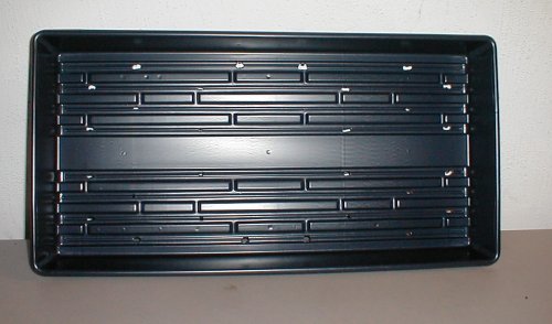 10x20 Trays for Wheat Grass or Barley Grass  